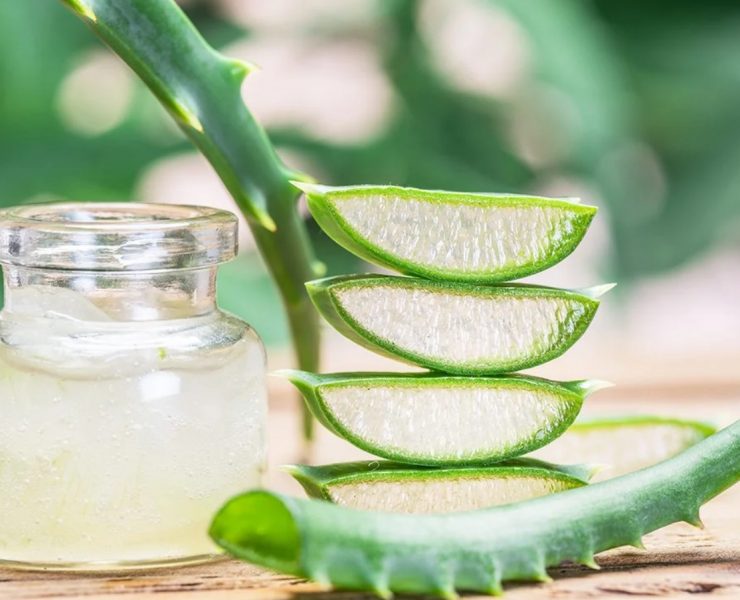 Aloe
