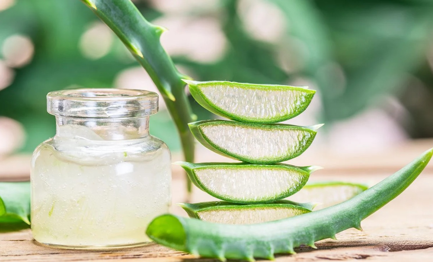 Aloe