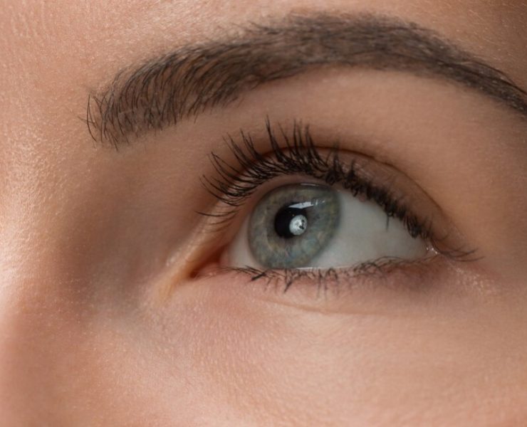 Durante los próximos 12 meses, tendremos la oportunidad de jugar con nuestras cejas a través del maquillaje. Te contamos.