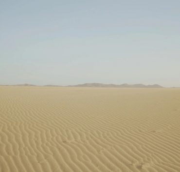 Alma del Desierto de Mónica Taboada-Tapia