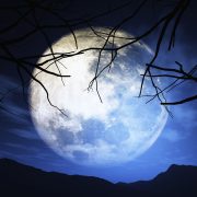 Luna llena en Piscis de septiembre 2024 así podrás verla y sacarle provecho