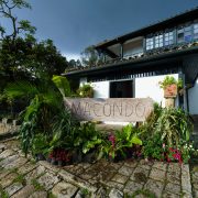 La millonaria cifra que le dejó la serie Cien años de soledad a la economía colombiana