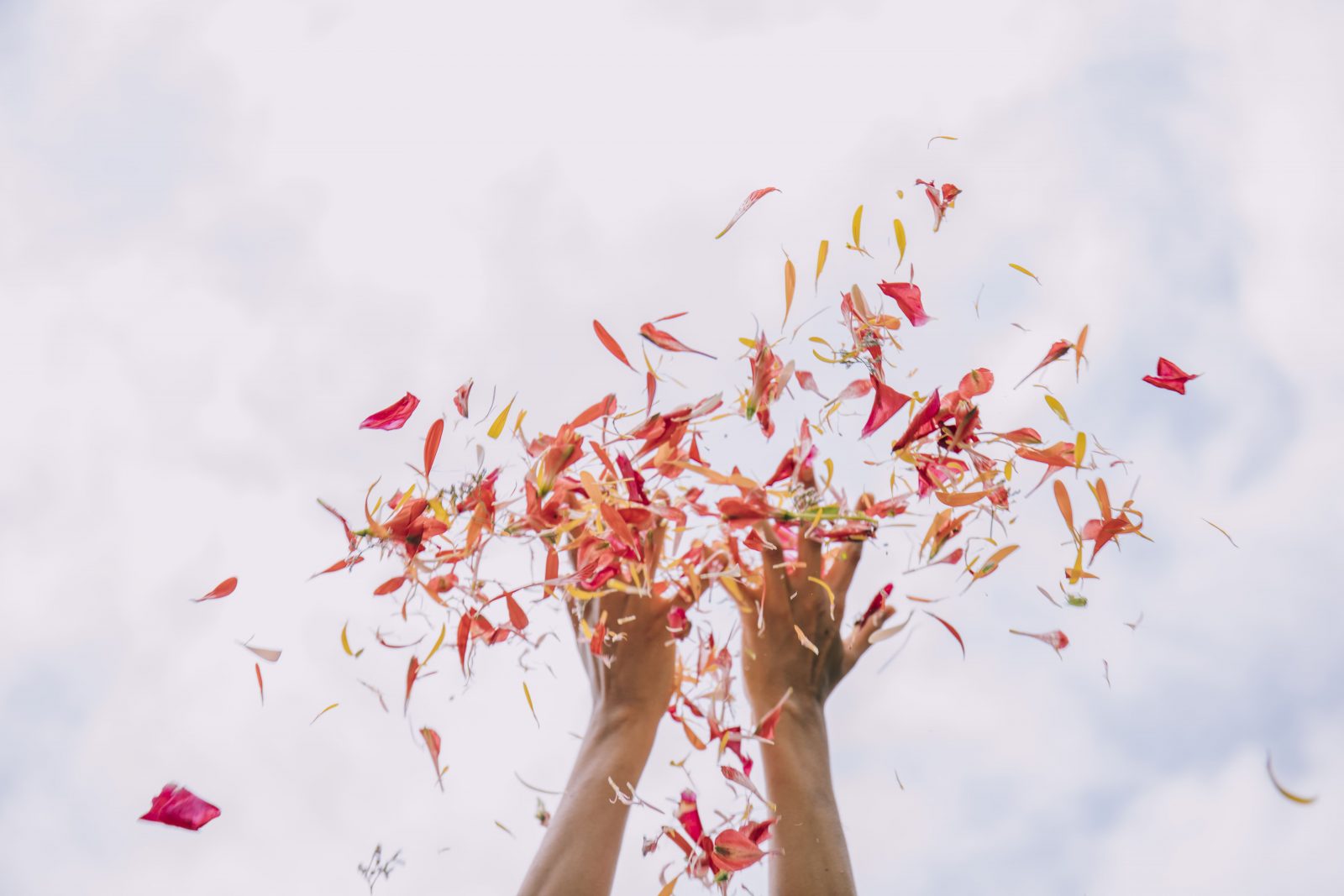 Lo que debes saber sobre la gala Marie Claire bienvenidos al Mercado de las Flores