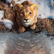 Mufasa
