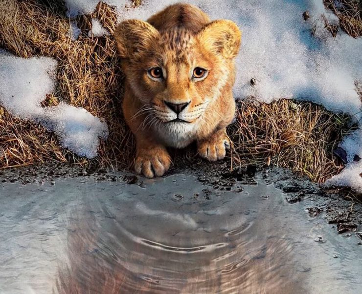 Mufasa