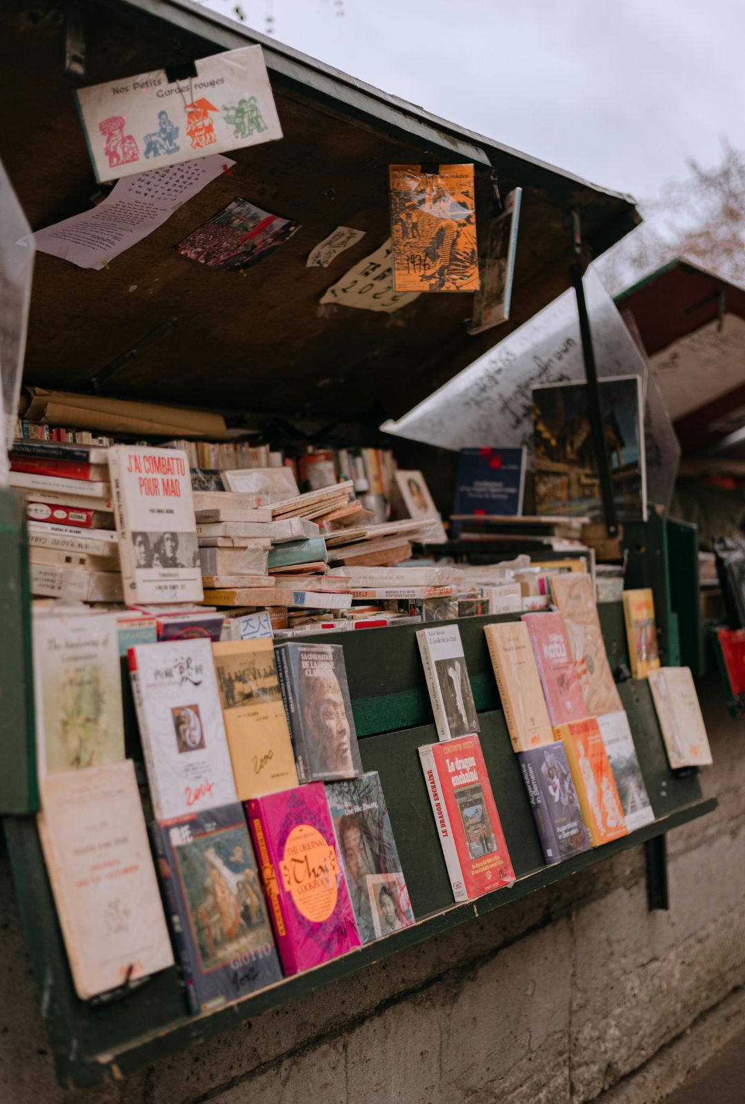 El Día del Libro: un recordatorio de que las palabras tienen el poder de transformar.