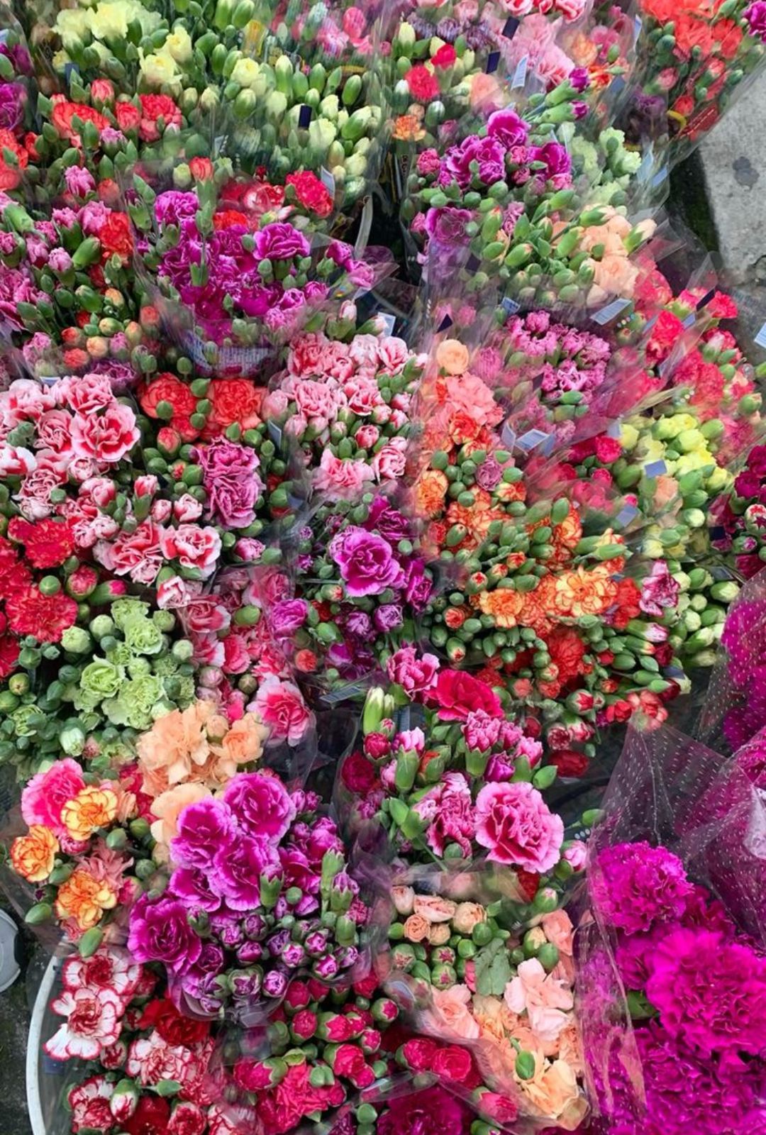 ¿Cuándo es la Feria de las Flores Medellín 2025? Actividades