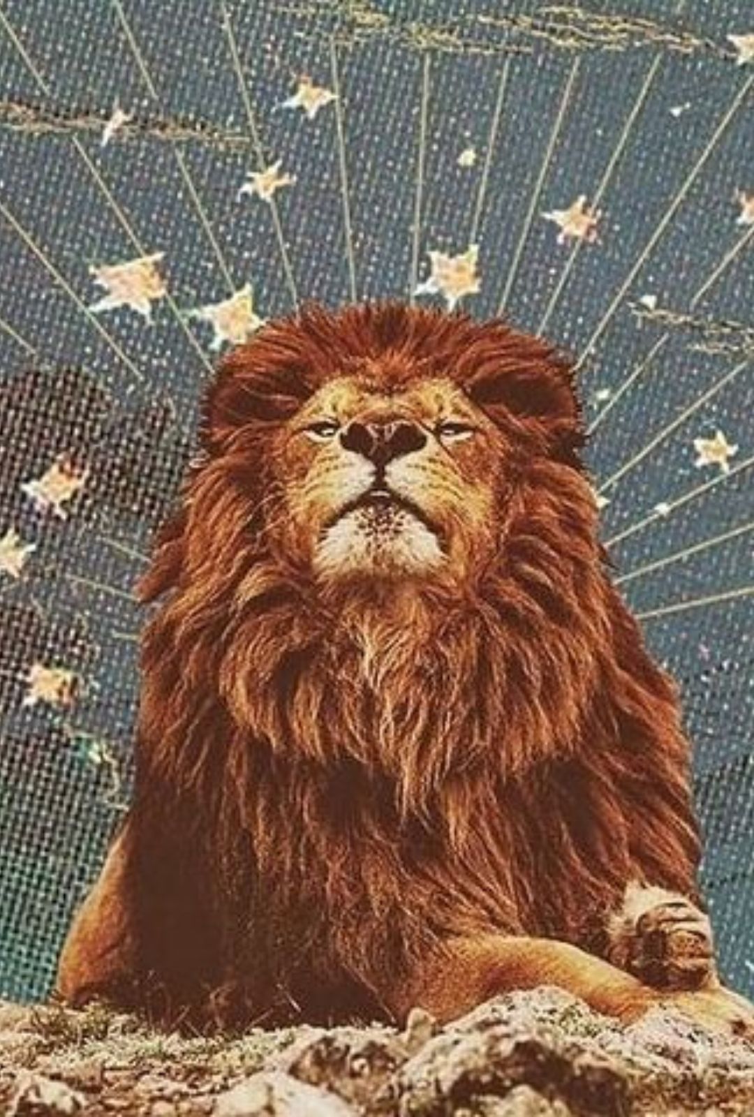 ¿Qué significa soñar con leones? Símbolo e Interpretación