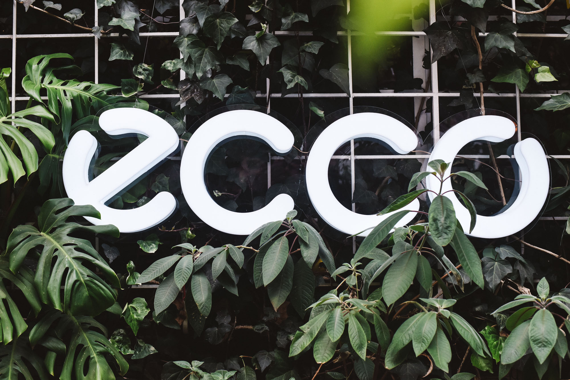 ECCO Walks invita a recorrer la ciudad con una perspectiva distinta, combinando la exploración urbana con actividades culturales y creativas.