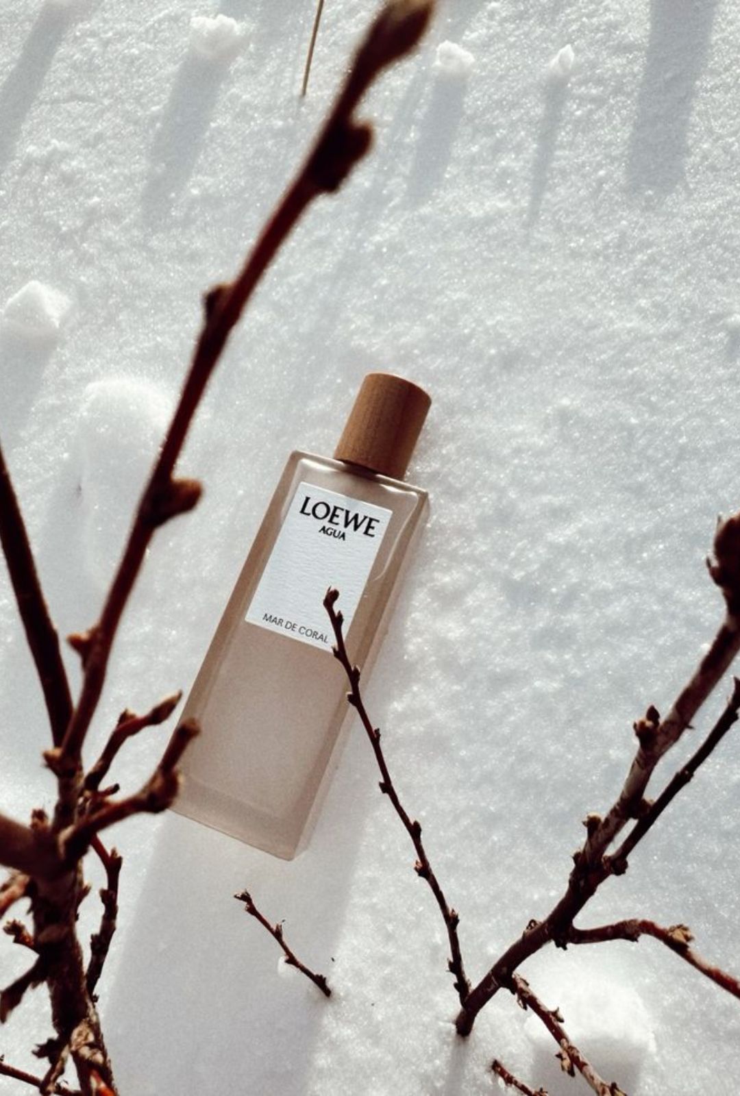 Los mejores perfumes para invierno: duraderos y elegantes