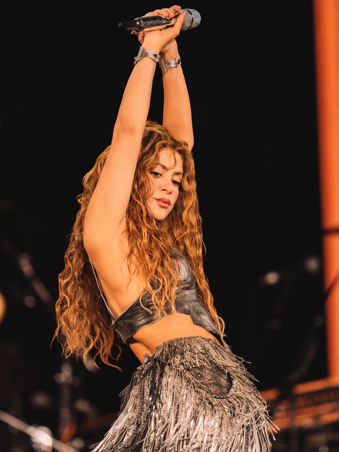 Shakira decidió ofrecer la isla a compradores interesados, manteniendo su propiedad intacta y sin construir.