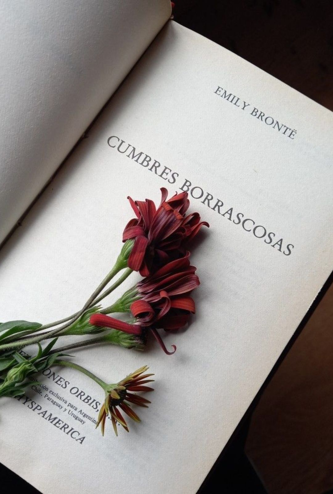 Las mejores frases de Cumbres Borrascosas que debes conocer