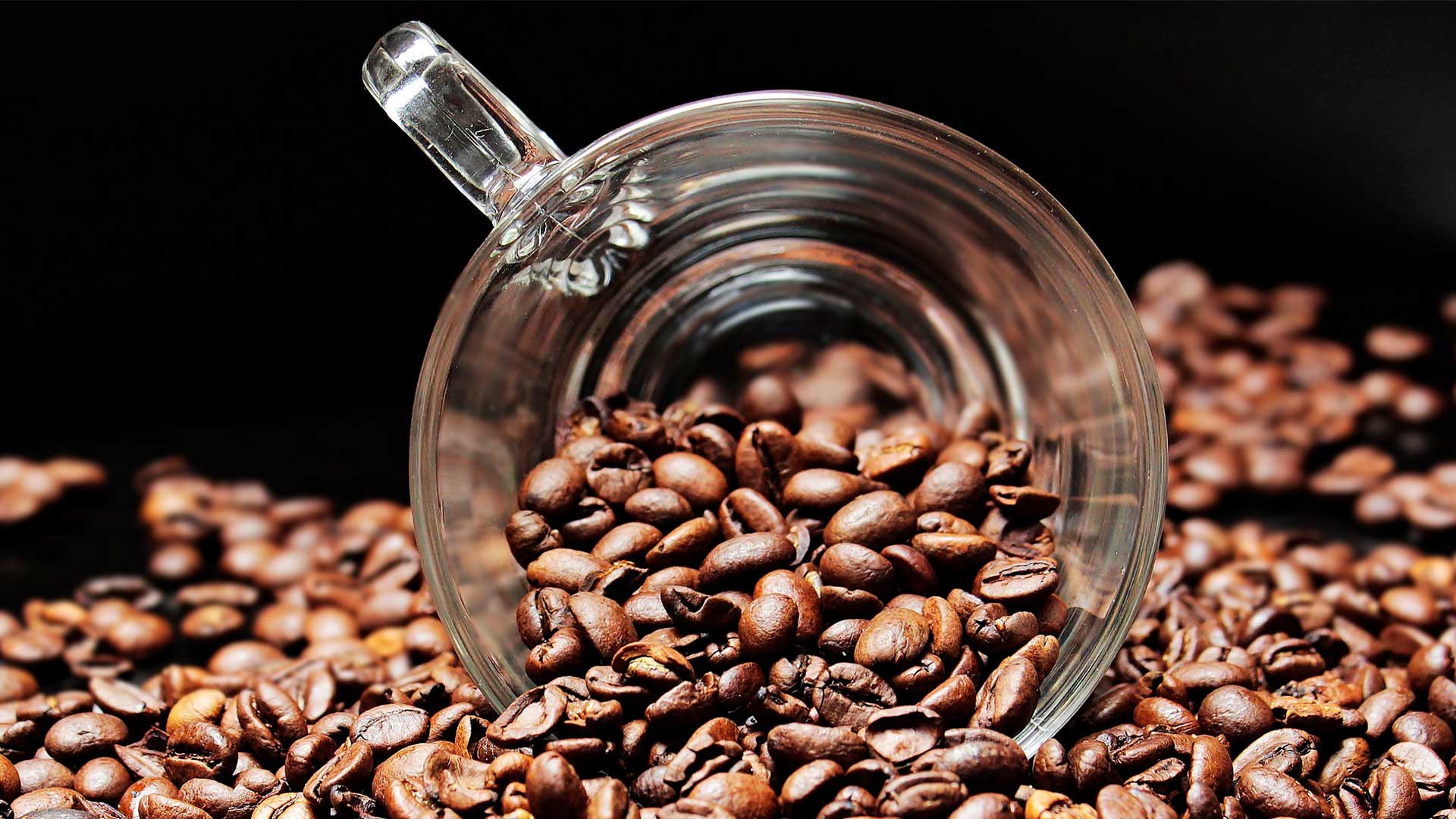 El café reduce el daño oxidativo de las células cerebrales. 