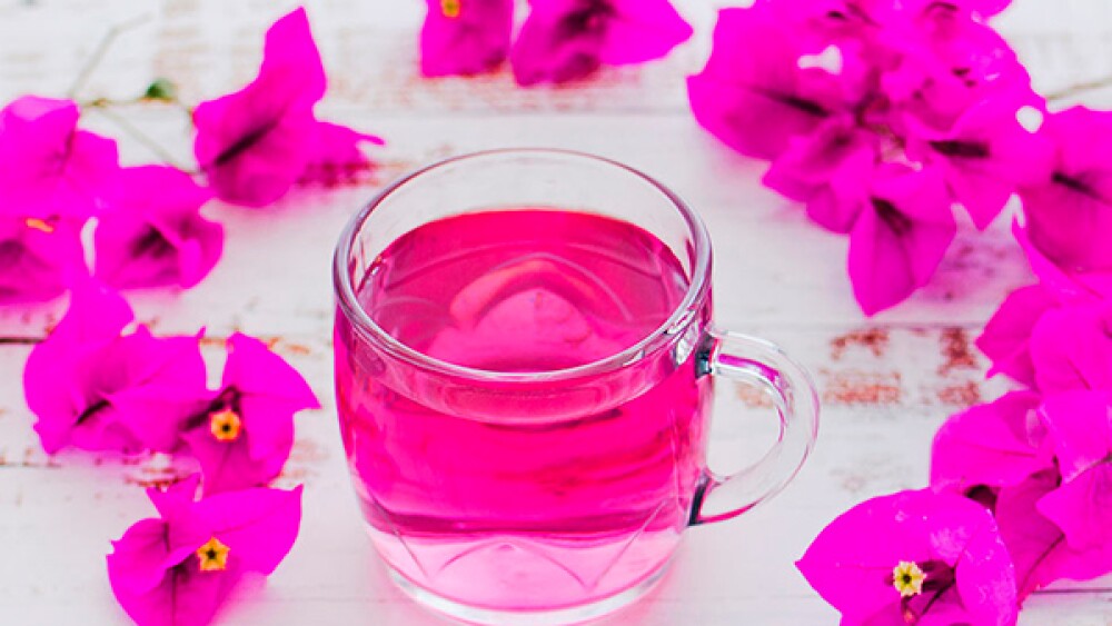 El té de bugambilia puede tener innumerables beneficios en tu salud respiratoria.
