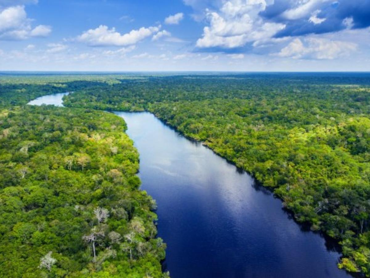 El cuidado y protección de la Amazonía Colombiana es urgente.