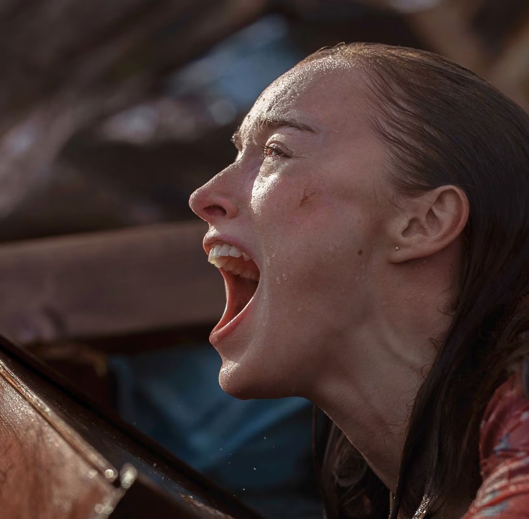 En abril de 2026, Netflix sumó a su catálogo Embestida, una película que mezcla cine de catástrofes con terror