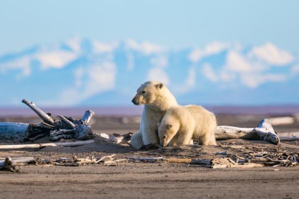 Uno de los problemas más graves de la contaminación es la extinción de especies.