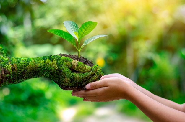 El Día Mundial del Medio Ambiente es una jornada internacional que busca concienciar sobre los problemas ambientales y promover soluciones sostenibles.