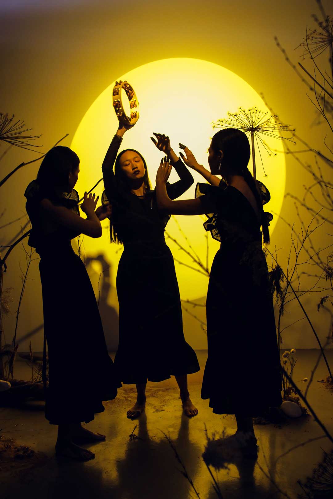 Luna llena en Capricornio - Ritual Abundancia