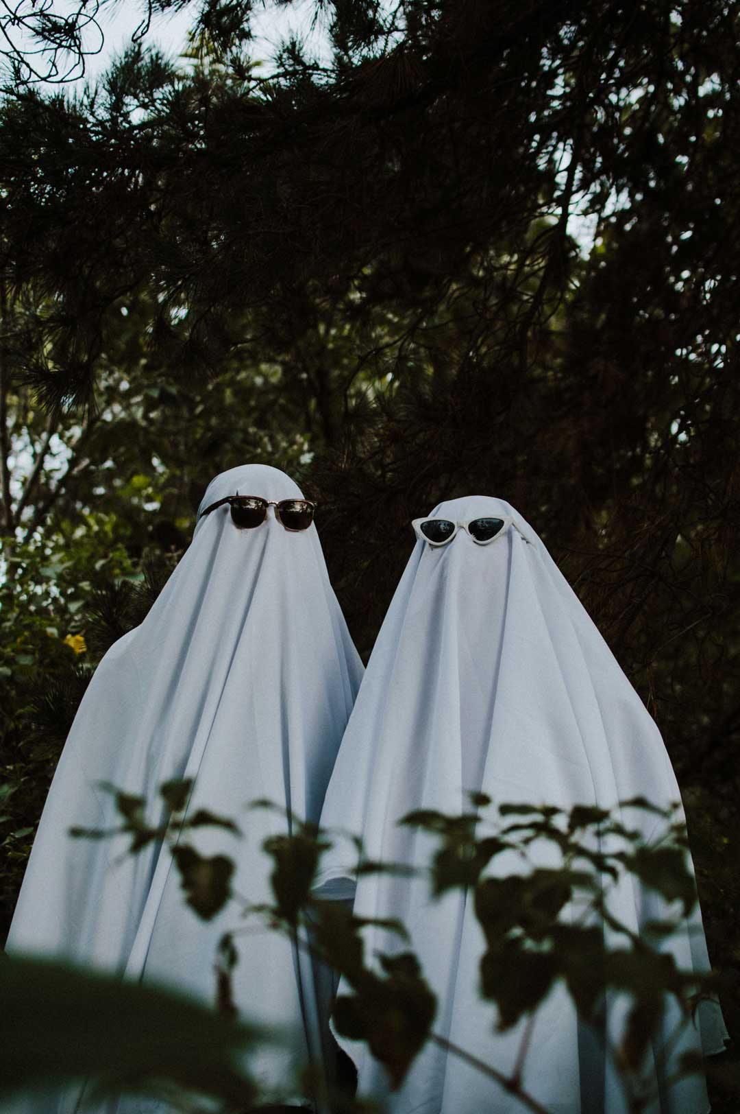 ¿Desapareció así cómo así? Descubre por qué te hizo ghosting según su signo