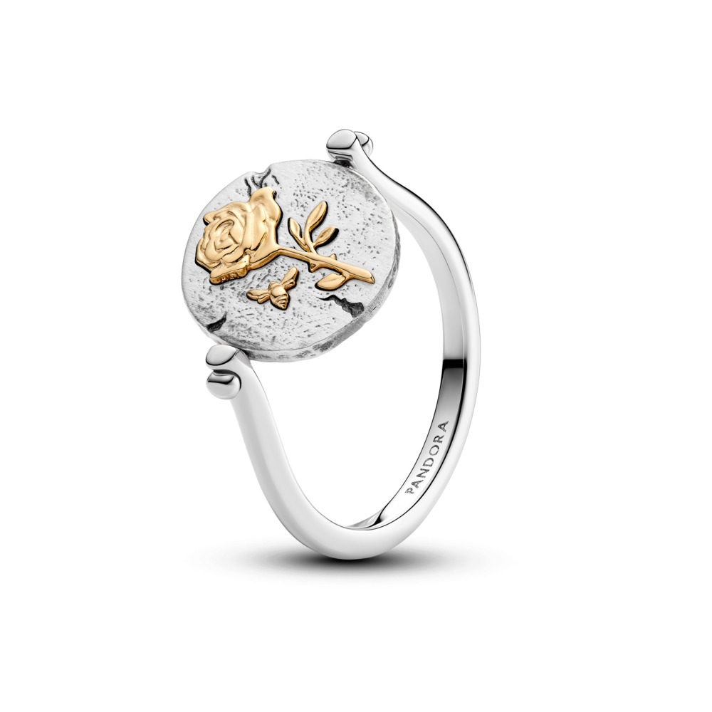 Pandora Talisman